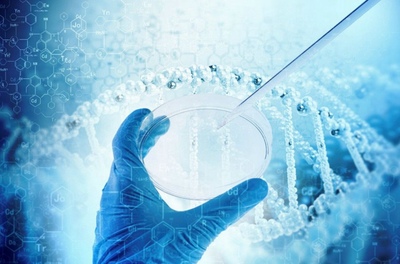 生物制品進口報關費用解析 全球進口門到門一站式服務指南